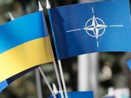 Киев просит у НАТО помощь для мирного населения на случай ЧС (СПИСОК)