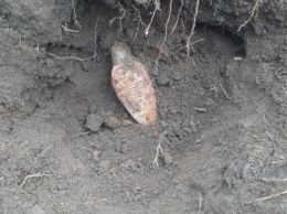 Под Кривым Рогом возле железной дороги обнаружен боеприпас