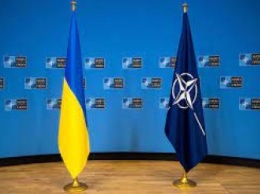Украине не нужен НАТО