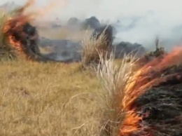 В Аргентине пылают масштабные пожары
