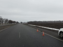 В Днепропетровской области на трассе нашли тело мужчины после ДТП: нужна помощь в опознании