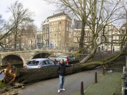 Жертвами шторма в Британии и Нидерландах стали шесть человек