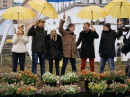 В Киеве на Майдане прохожим раздали 5000 тюльпанов