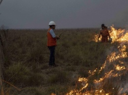 В Аргентине пылают мощнейшие лесные пожары