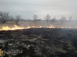 Тушила траву: под Днепром едва не сгорела женщина