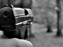Рада утвердила в первом чтении законопроект о свободном владении огнестрельным оружием