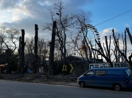 В одесском парке Шевченко "обезглавили" десятки деревьев