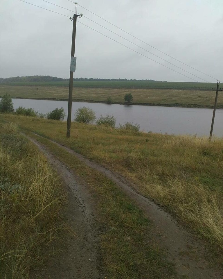 Посреди озера всплыл труп: страшная находка в Харьковской области (фото)