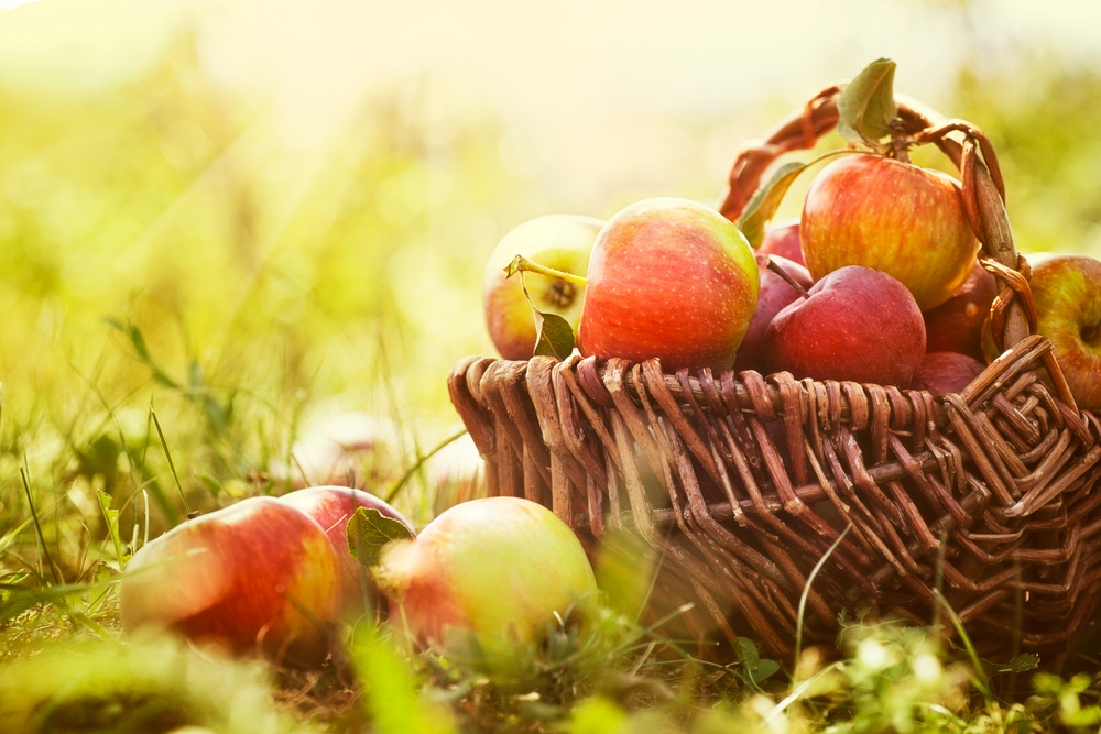 Яблочный Спас 2019. Поздравления, открытки и картинки