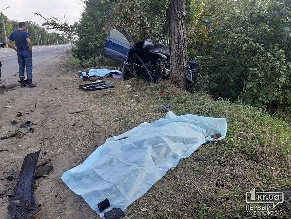 Смертельное ДТП в Кривом Роге: погибли три человека