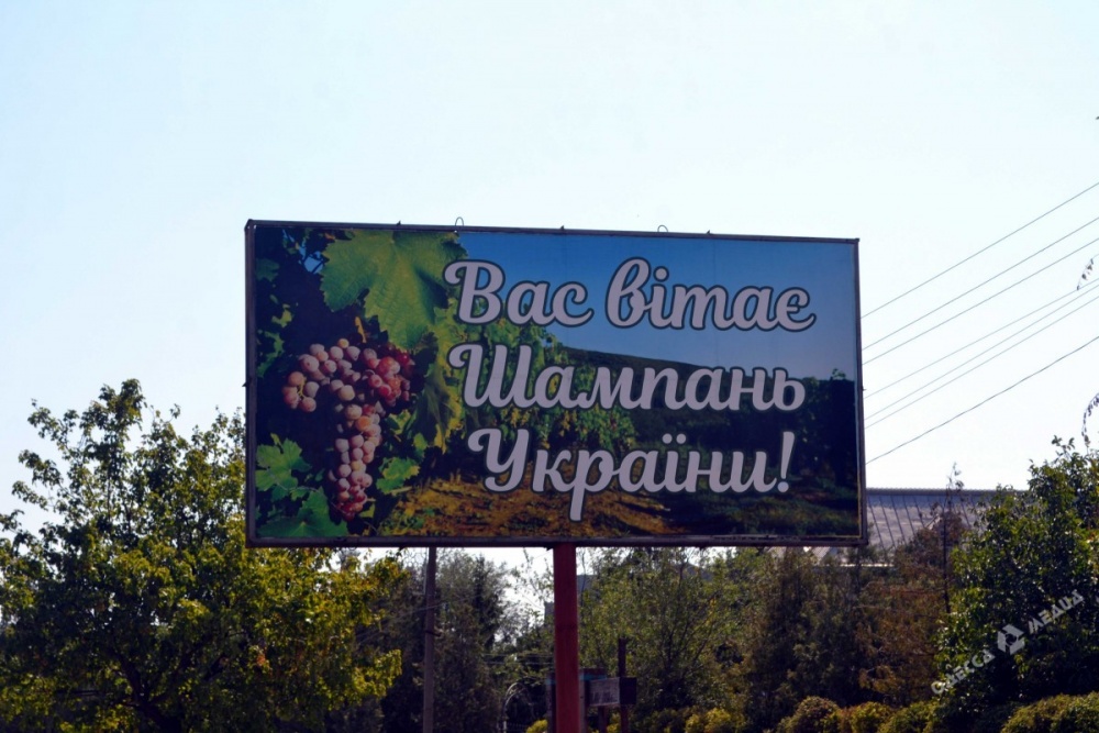 Цветущий оазис в Бессарабии: как живет самое развитое село на юге Одесской области (фото)