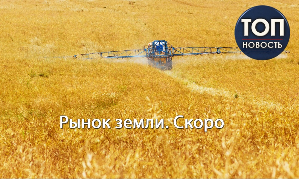 Украина на пороге открытия земли: Все, что известно о предстоящей земельной реформе