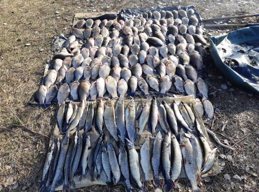 Пограничники Черниговщины задержали рыбаков-браконьеров