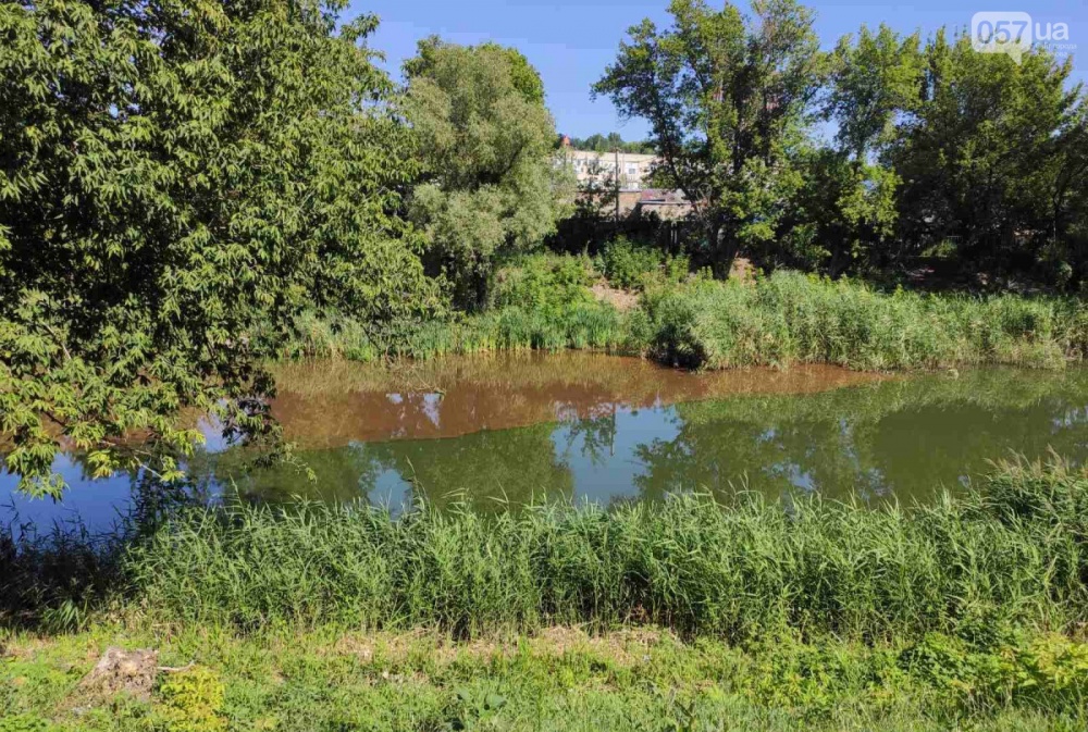 В реке Харьков появилось огромное пятно: что говорят экологи и представители фармпредприятия, - ФОТО