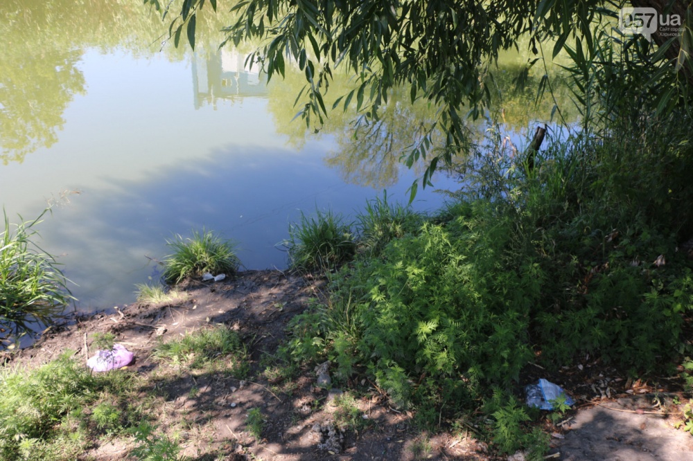 В реке Харьков появилось огромное пятно: что говорят экологи и представители фармпредприятия, - ФОТО