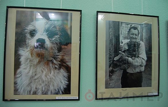 Одесский фотограф уверен: «Собака - друг человека»