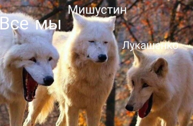 Соцсети сражаются за лучший мем о перехваченных "пленках Лукашенко". Фото