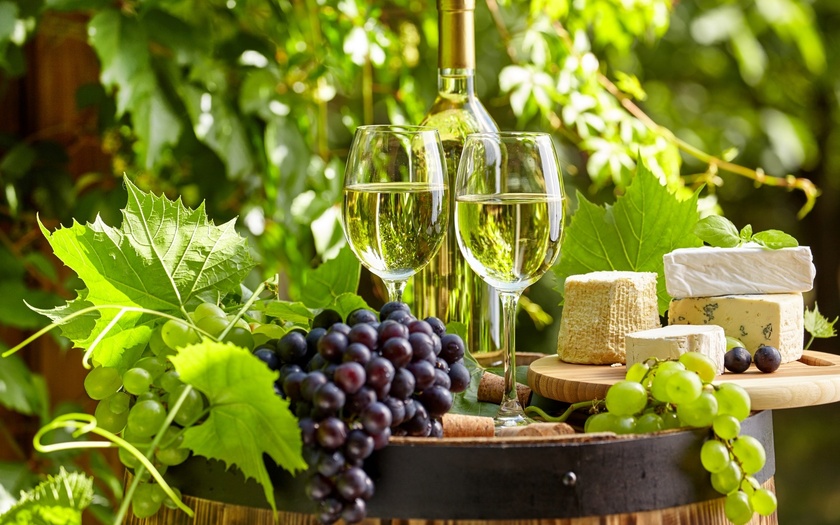 Сорт и регион выращивания винограда: выбираем грамотно вино