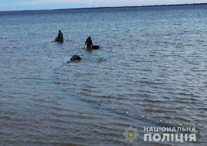 В Запорожской области браконьеры ловили рыбу и креветок