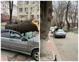 В Крыму из-за сильного ветра остаются обесточенными 37 тысяч человек