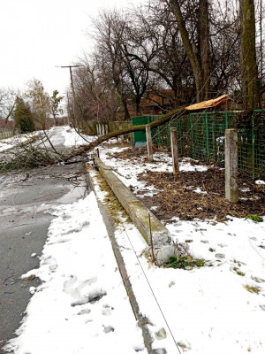Непогода оставила без электричества десятки населенных пунктов на Киевщине (фото, видео)