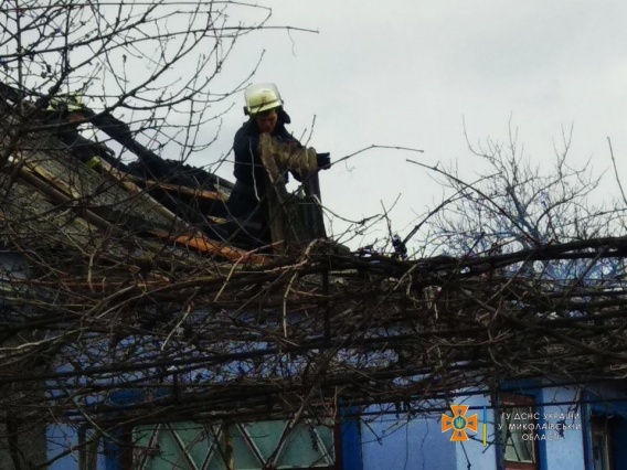 В Николаевской области на пожаре погибла женщина и сгорела баня