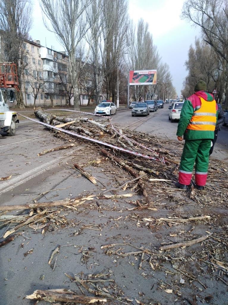В Одессе из-за непогоды повалены 19 деревьев. Фото