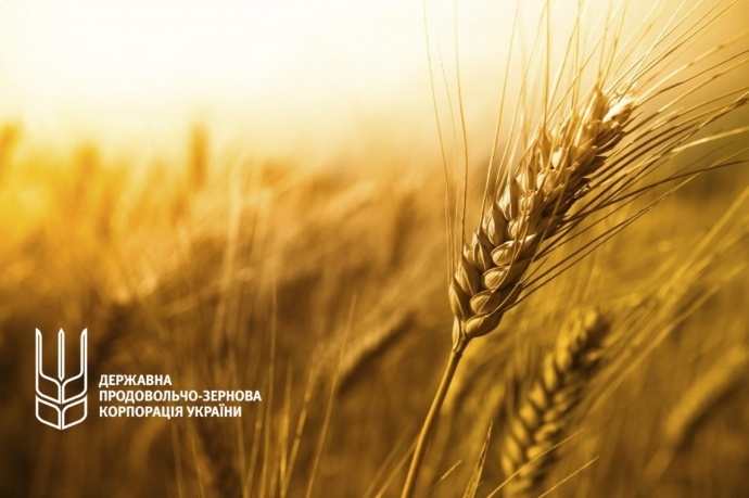 Государственная зерновая корпорация входит в дефолт, миллиард долларов будут платить из бюджета