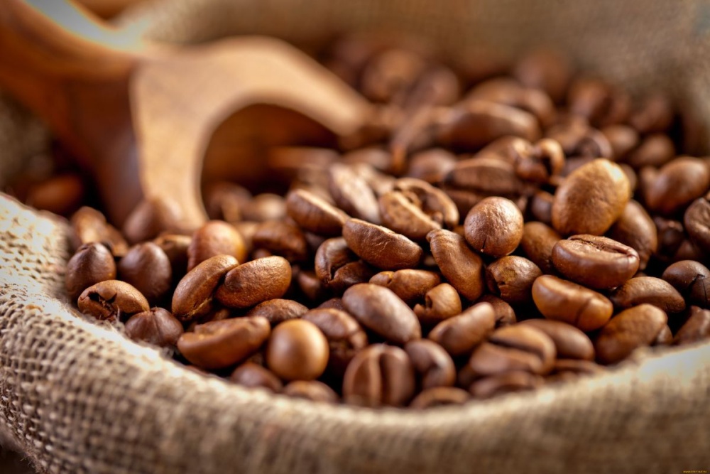 Сколько, где и как правильно хранить кофе в зернах