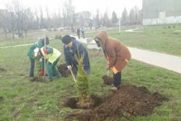 Наша цель - чтобы Кривой Рог был самым зеленым и освещенным городом страны, - мэр Юрий Вилкул