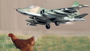 Angry Birds против Су-25. Или соцсети про Курицу, что выжила