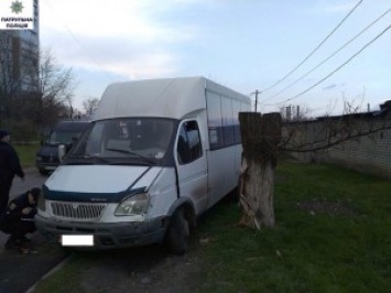 В Николаеве пьяная женщина за рулем Руты въехала в дерево