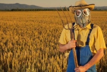 В Херсонской области хранится около двух тонн непригодных пестицидов