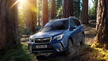 В Subaru приодели "Лесника"