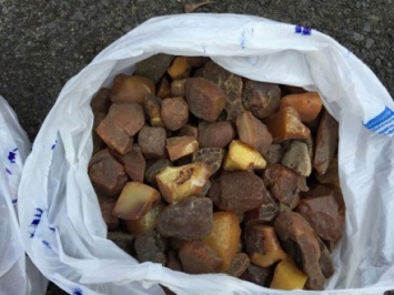 Почти 13 кг янтаря изъяли в Ровенской области