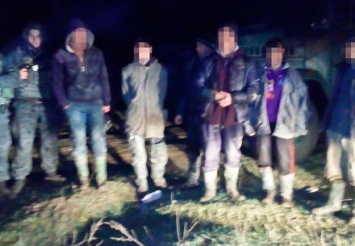 Группы искателей янтаря задержали в Житомирской области