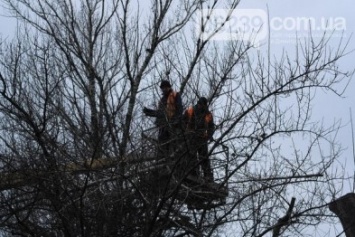 В Красноармейске (Покровске) выбирают кому же предстоит пилить деревья - КП «УГХ», ГПСО-9 или же предпринимателям?