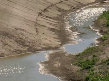 Почти 400 тыс. га крымских земель потеряют плодородие из-за отсутствия днепровской воды