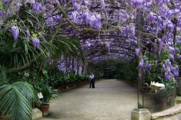 Испания: Воскресная ботаническая радость