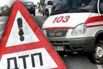 В Чудновском районе перевернулся автомобиль: водитель не выжил