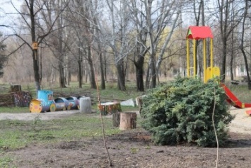 В парке Мечты Славянска появились новые деревья и куст