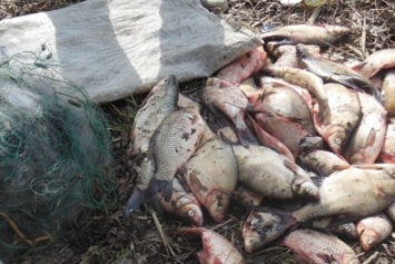 Кременчугские водные копы ловят браконьеров с первых дней нереста (ФОТО)