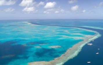 Австралия: на Большом Барьерном рифе будут добывать уголь