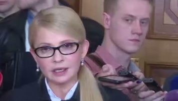 Посол США назвал позицию Тимошенко в коалиционном процессе деструктивной