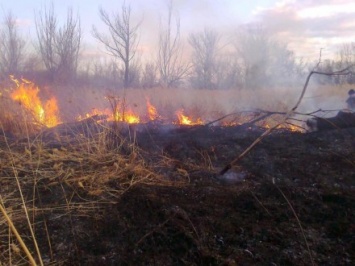 Из-за сухой травы едва не загорелся дом в Луганской области