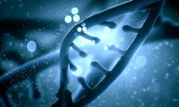 Эксперты: существуют «гены смерти», укорачивающие жизнь на 4 года