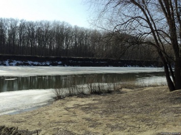 За уровнем воды в Томске можно проследить не выходя из дома