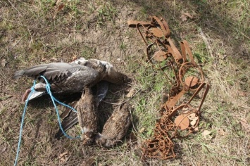 В национальном парке Одесской области неизвестные расставили «дьявольские инструменты пыток» животных