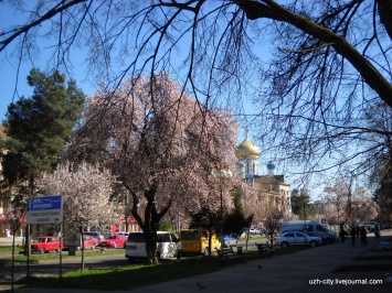 В Ужгороде появился "белый проспект" (ФОТО)