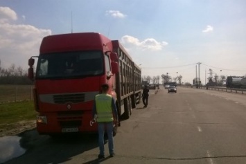 На Полтавщине водитель грузовика заплатит штраф в размере 600 тыс грн